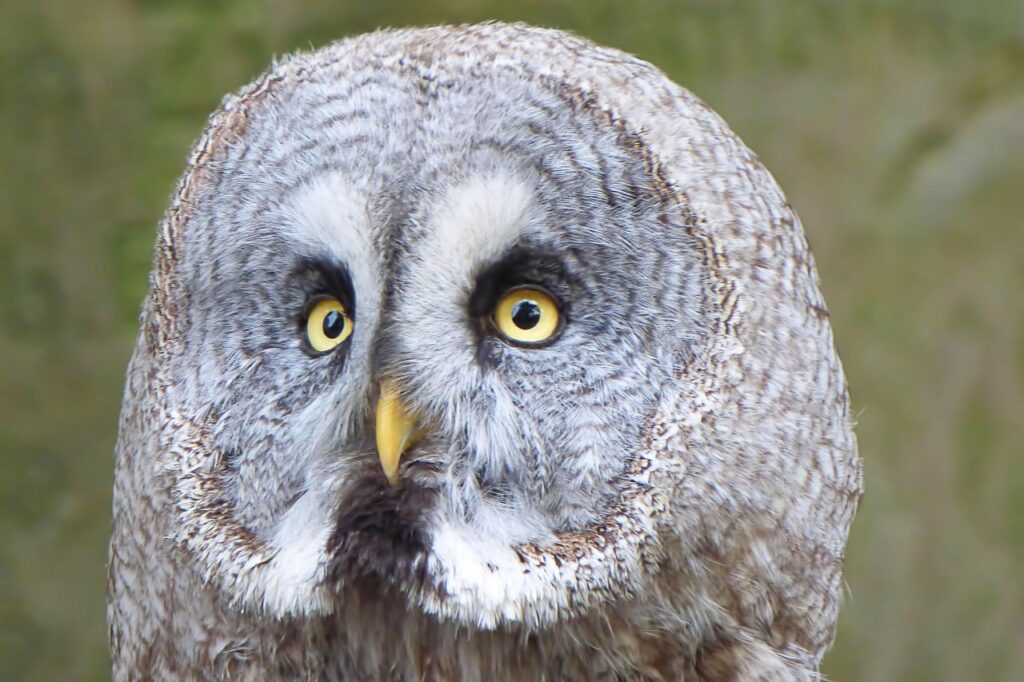 50代男性がヒゲ脱毛を安全に行うためのポイントは？