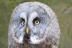 50代男性がヒゲ脱毛を安全に行うためのポイントは？