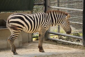 ヒゲ脱毛を受けるなら福岡のメンズクリニックはどこがおすすめ？