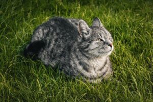 ヒゲ脱毛後に毛が濃くなる原因とは？