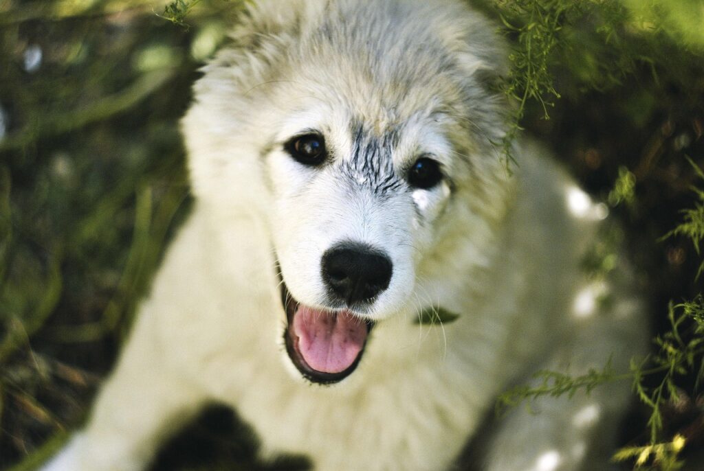 医療脱毛は8回で効果を実感できるのか？