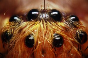 髭脱毛の8回目で効果を実感するためのポイントは？