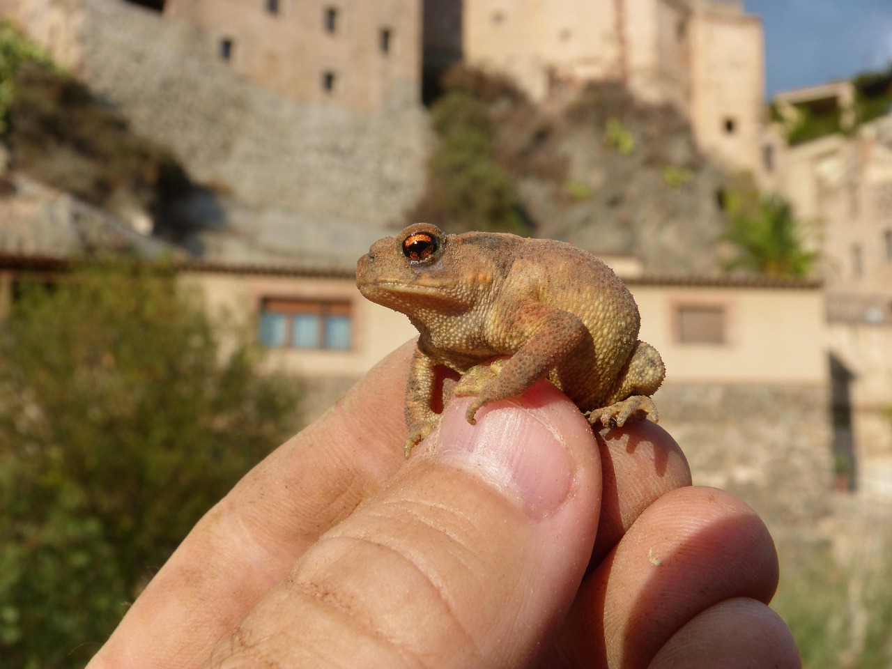 ヒゲ脱毛で肌荒れが起きた時の対処法は？