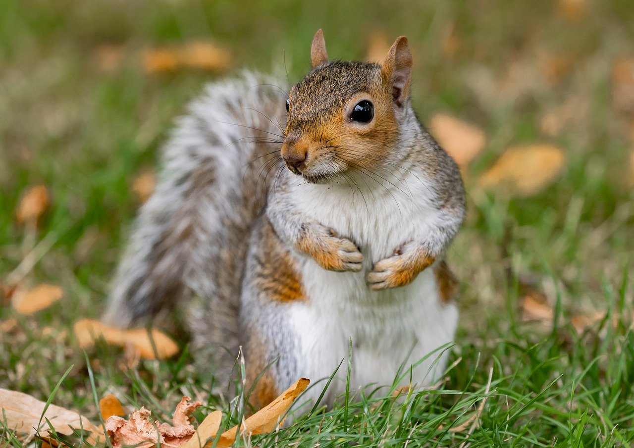 ヒゲ脱毛の通い放題プランでおすすめのサロンは？