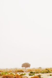 髭脱毛の5回目で効果がない場合の対処法は？