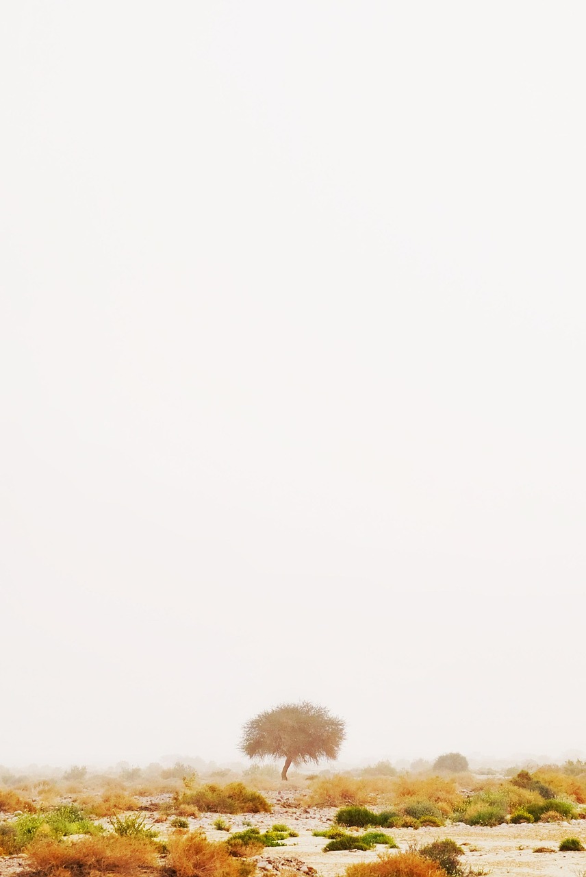 髭脱毛の5回目で効果がない場合の対処法は？