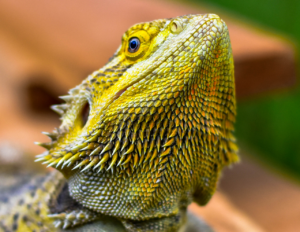 ヒゲ脱毛のメンズ予約をキャンセルする方法は？