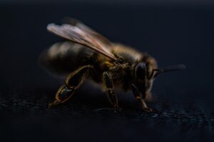 ヒゲ脱毛は永久にできる？効果や注意点を徹底解説！